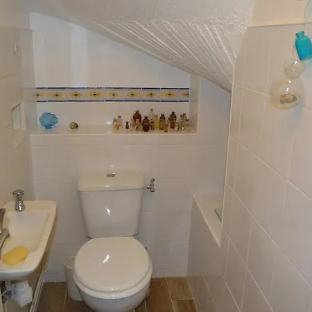 A L'ombre Du Palmier, Maison A 1,2 Km De L'ocean * Hendaye