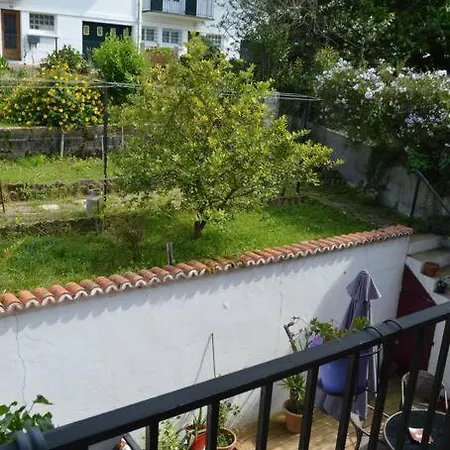 Holiday home A L'ombre Du Palmier, Maison A 1,2 Km De L'ocean Hendaye