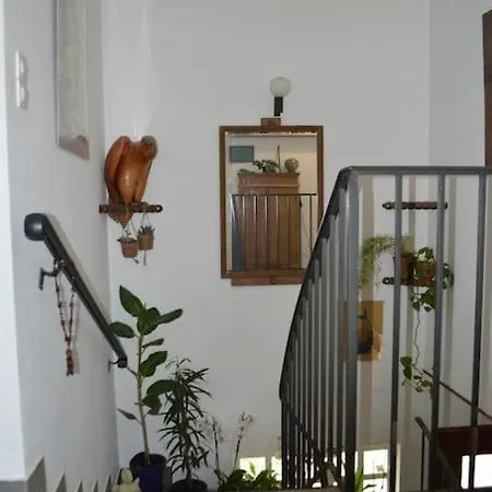 A L'ombre Du Palmier, Maison A 1,2 Km De L'ocean
