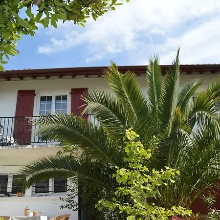 A L'ombre Du Palmier, Maison A 1,2 Km De L'ocean * Hendaye