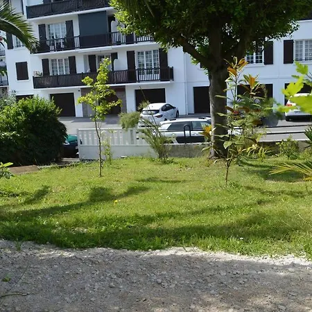 A L'ombre Du Palmier, Maison A 1,2 Km De L'ocean *